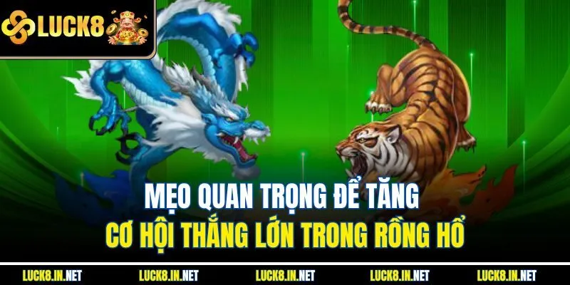 Mẹo quan trọng để tăng cơ hội thắng lớn trong Rồng Hổ